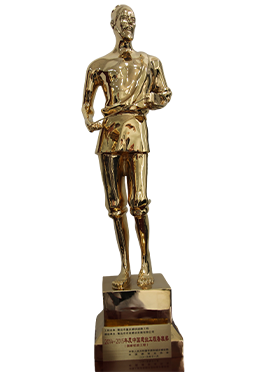 2青岛市重庆路快速路工程获2014-2015年度中国建设工程鲁班奖