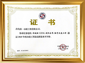 靖城路拓宽改造工程-参建