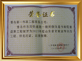 东西快速路2015市政金杯奖
